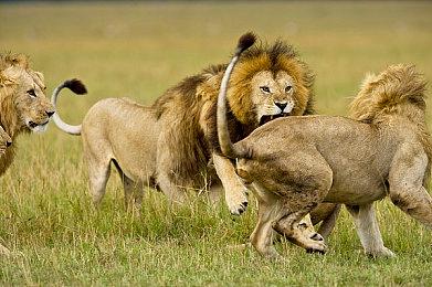 《地狱潜者2》PS5版或将小幅跳票延期 2月28日发售